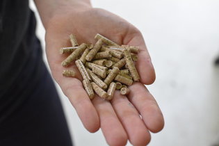 Holzpellets Holzpellets