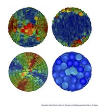 Simulation der Einzelmoleküle von Flüssigkristallen in Nanoporen. Abbildung: TUHH Simulation der Einzelmoleküle von Flüssigkristallen in Nanoporen. Abbildung: TUHH