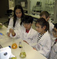 Schüler der Grundschule Kerschensteiner Strasse beim Experimentieren am Institut für Technische Biokatalyse der TUHH 