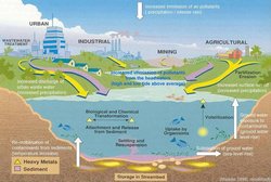 Das Klima beeinflusst diffuse Verschmutzungen (anorganische und organische Schadstoffe, pathogene Bakterien, Nährstoffe).