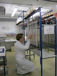 Saskia Oldenburg im Labor.