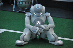 Naos - humanoide Roboter, deren Konstruktion der menschlichen Gestalt nachempfunden sind - sind am Tag der offenen Tür in Gebäude H zu bestaunen