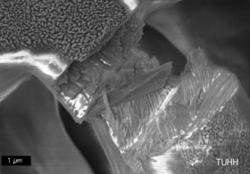 Blick durchs Elektronenmikroskop: Wie Spaghetti brechen die Nanofasern des Zahnschmelzes.