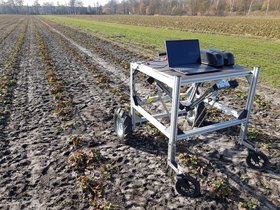 Der Roboter im Einsatz auf einem Erdbeerfeld.