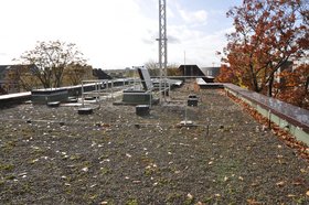 Professor Peter Fröhle erforscht auf dem Dach des neugebauten Zentrums für Studium und Promotion auf dem Campus der TU Hamburg unterschiedliche Gründach-Aufbauten und deren Wirkung auf das Abflussverhalten von Regenwasser in Städten.