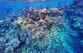 The EU initiative NOESIS&mdash;Network for Oceanic Sensing and Integrated Science &ndash; aims to fundamentally modernize the monitoring and management of the world's oceans. Photo: Colorbox